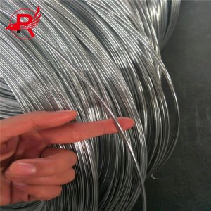 Galvanized Steel Wire